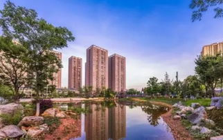 遂宁房价是否迎来转折？河东拍出两宗住房用地，成交价格出乎意料